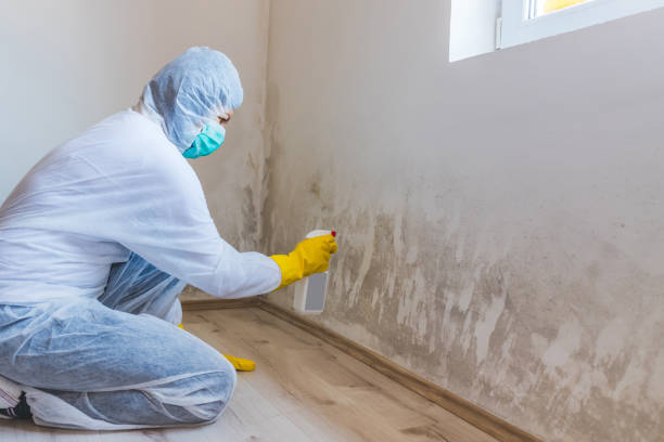 Licensed Mold Remediation service in Livingston, TX - WQB Mold Removal