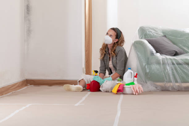 Reliable Mold Remediation contractor in Livingston, TX by WQB Mold Removal